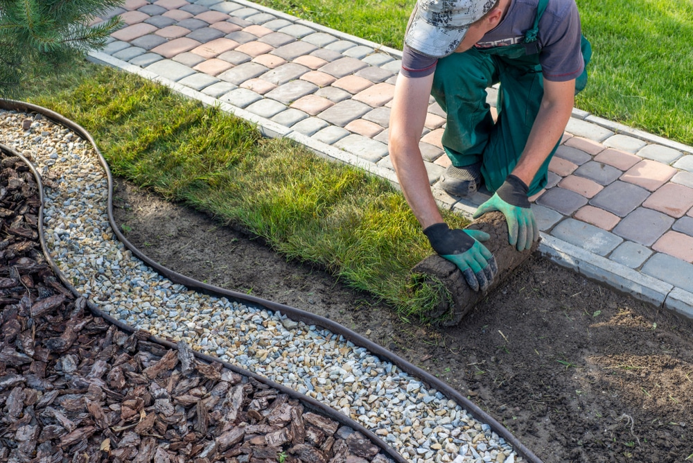 Why Choose Tacoma Landscapings