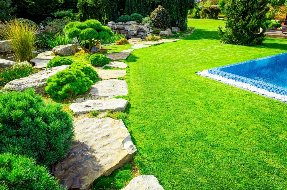 Why Choose Tacoma Landscapings